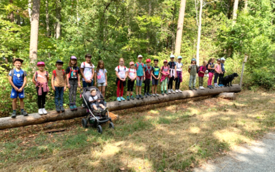 Wanderung Hamberg Ferienprogramm 2022